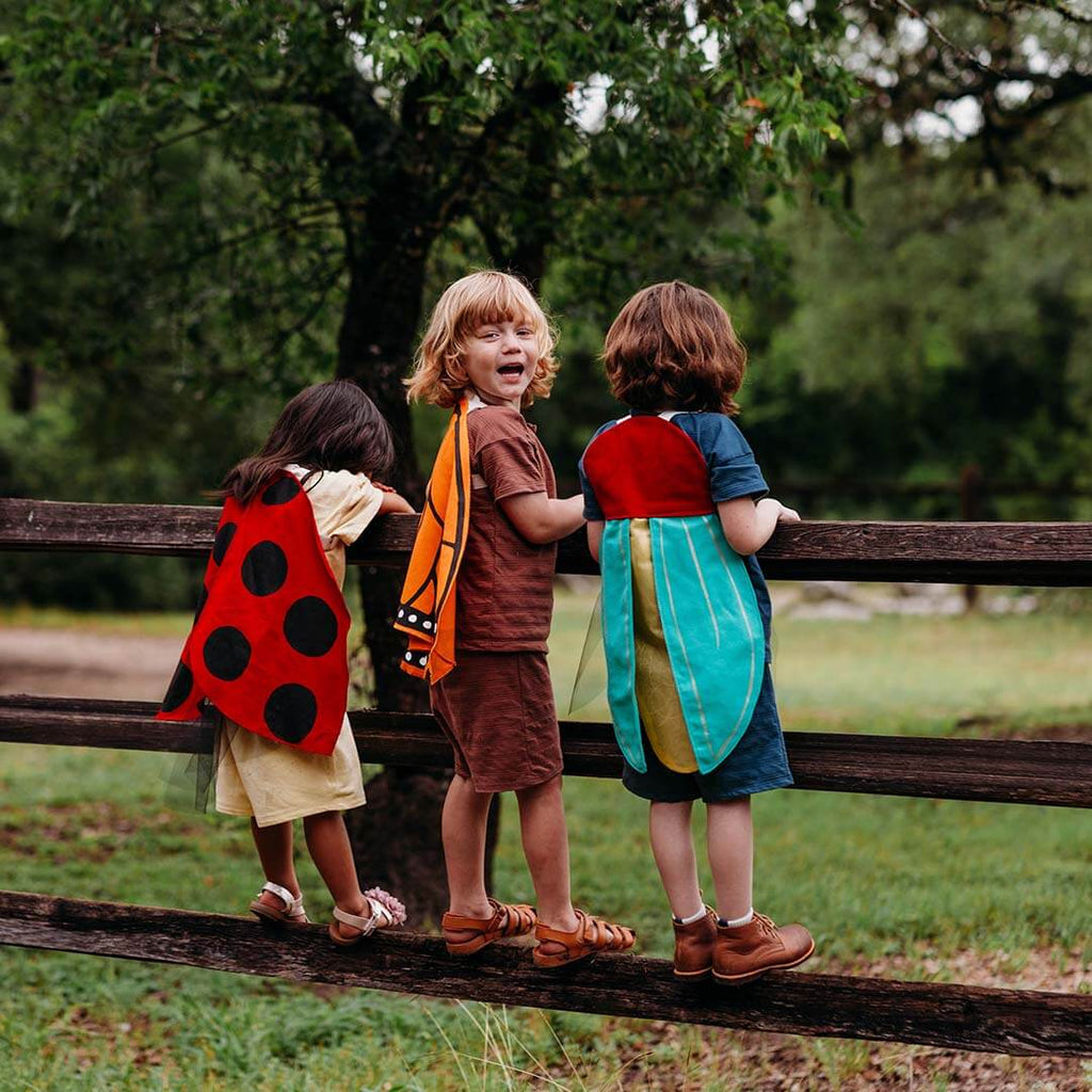 Ladybug Wings Costume